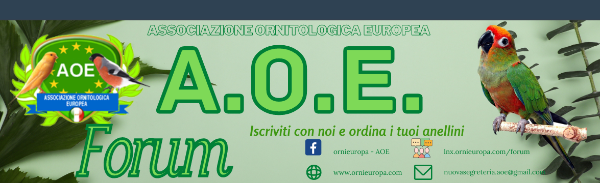 Forum  della  Associazione Ornitologica Europea - Powered by vBulletin